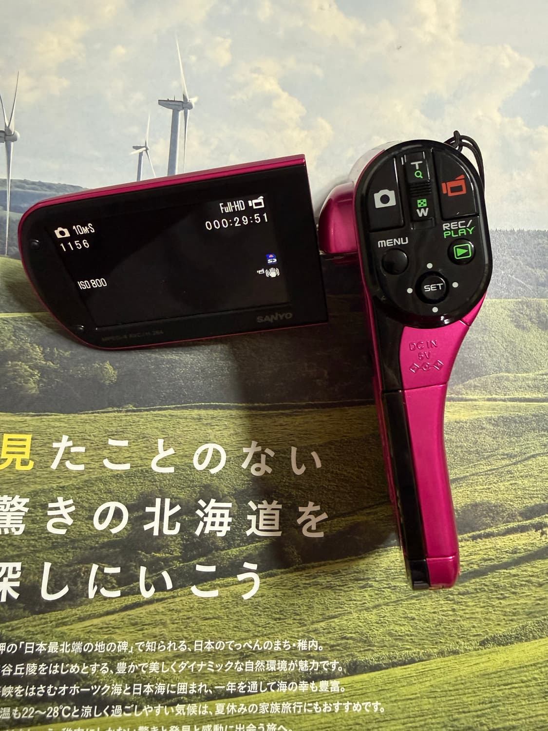 산요 Sanyo cacti CG20 pink  상품이미지5