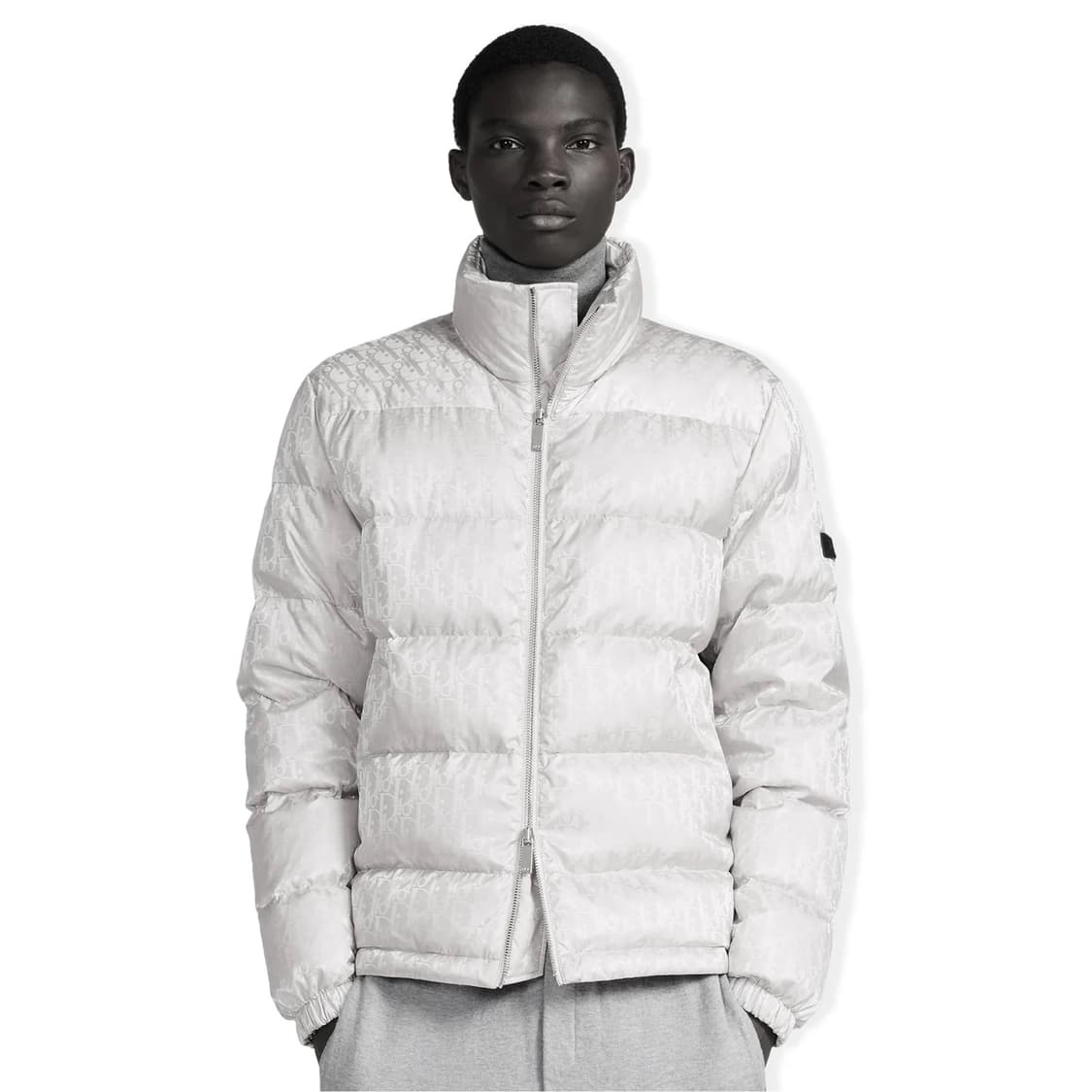 (A+급 / 54) / 디올 오블리크 실버 다운패딩 상품이미지9