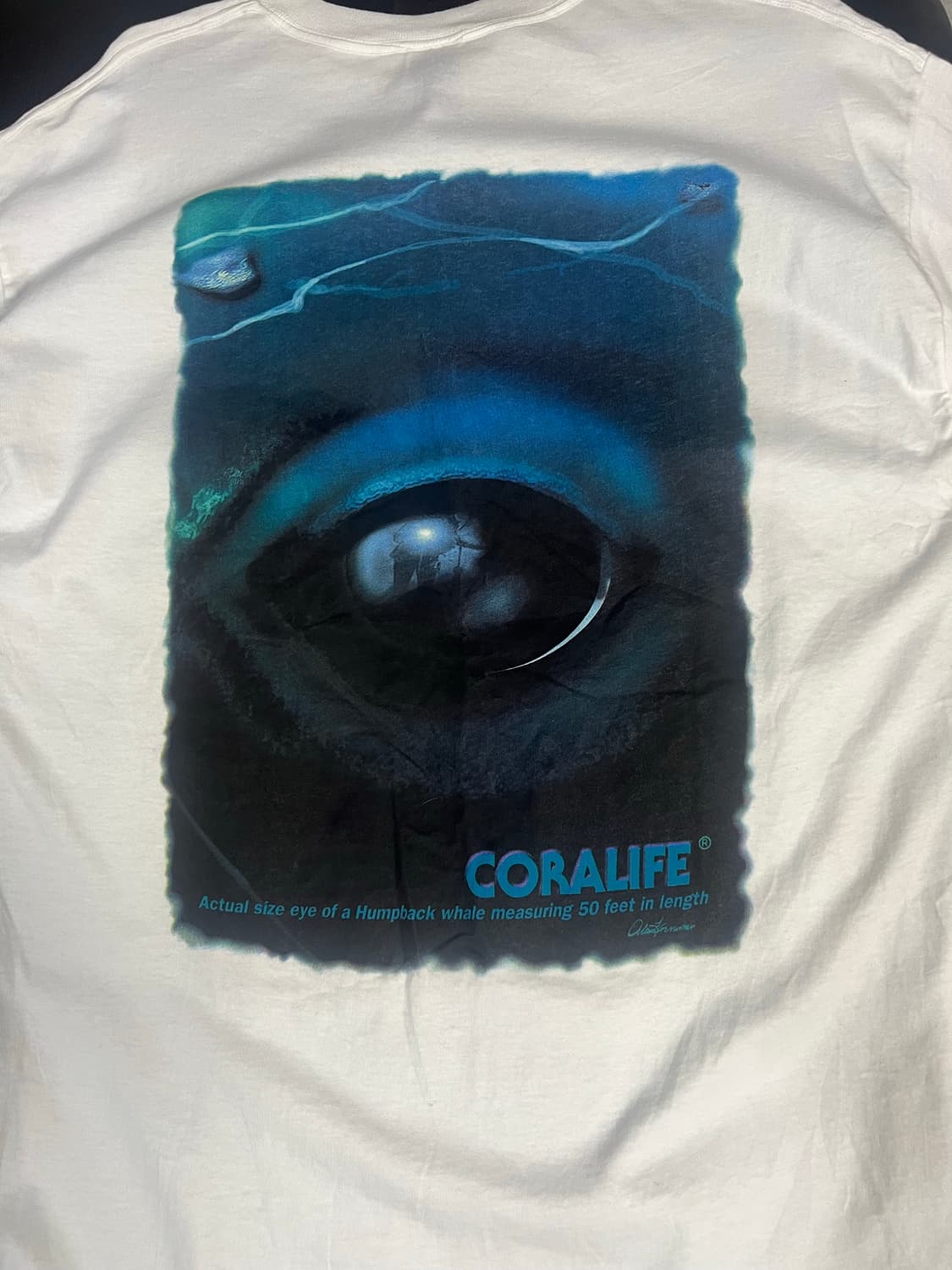 USA풀루트룸 상품이미지3