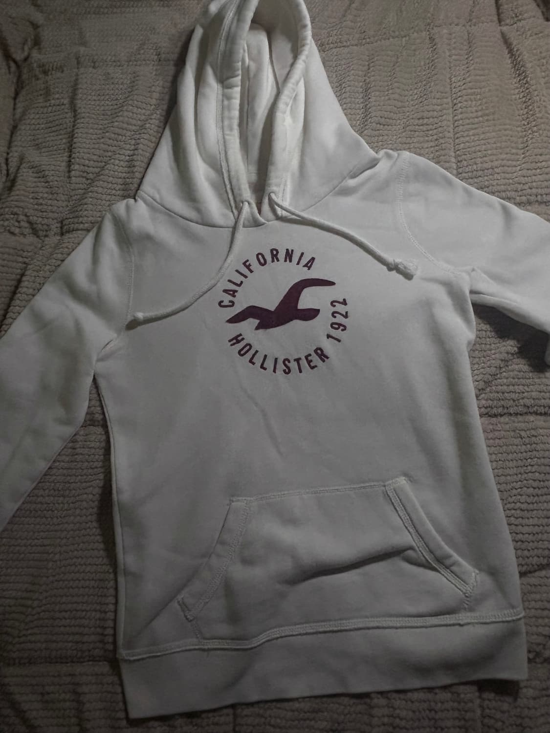 홀리스터 후드티 상품이미지1