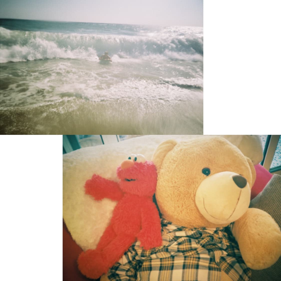 필름카메라 캐논 as-6 (작례 0) 상품이미지2