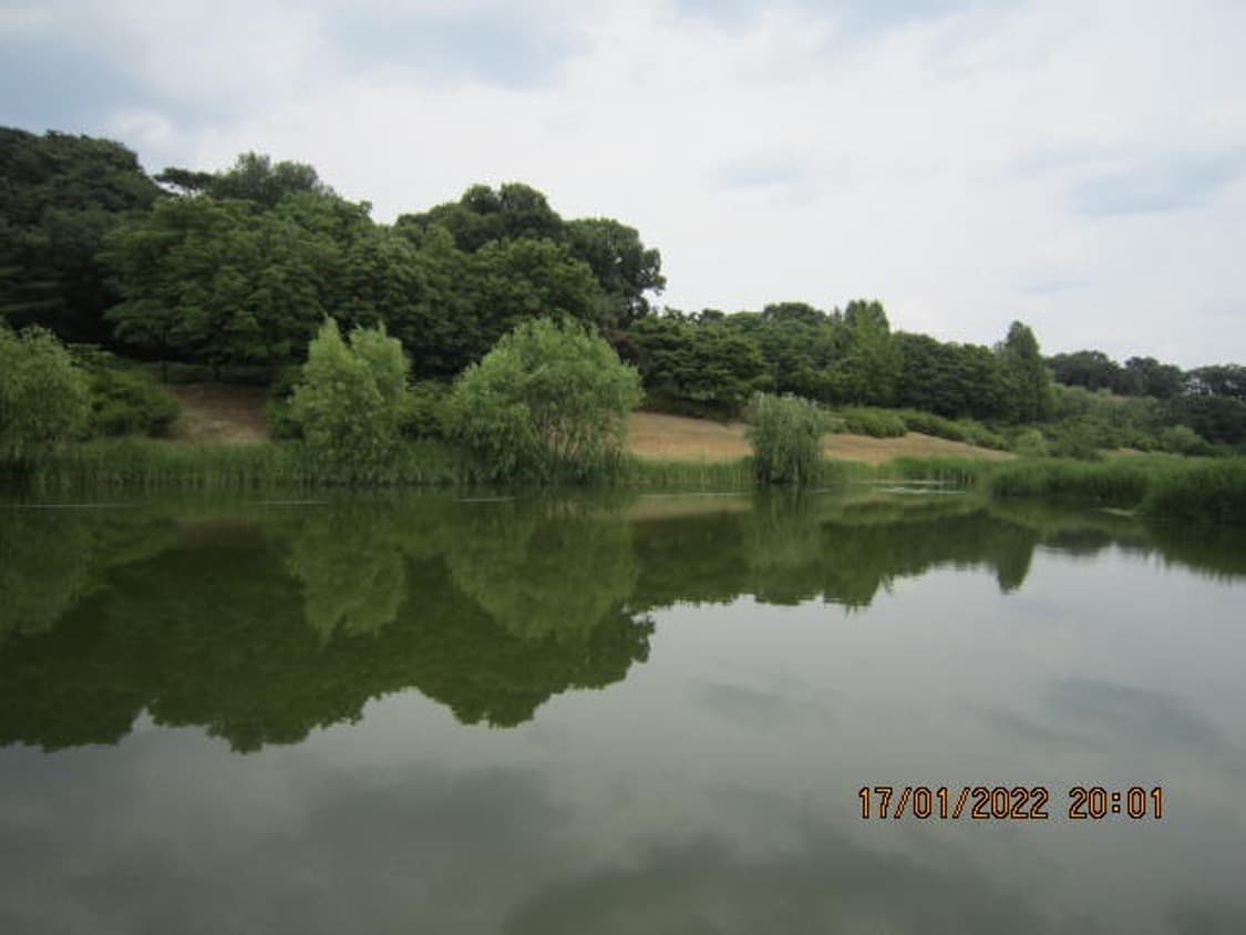 (네고가능!)캐논 익서스 210 canon ixus 210 상품이미지4