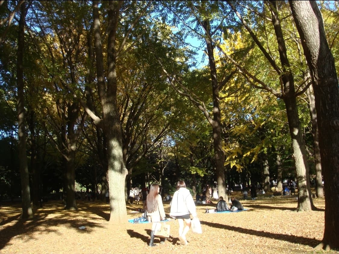 소니 사이버샷 T20 핑크 💗 슬림한 슬라이드 감성 디카 상품이미지5