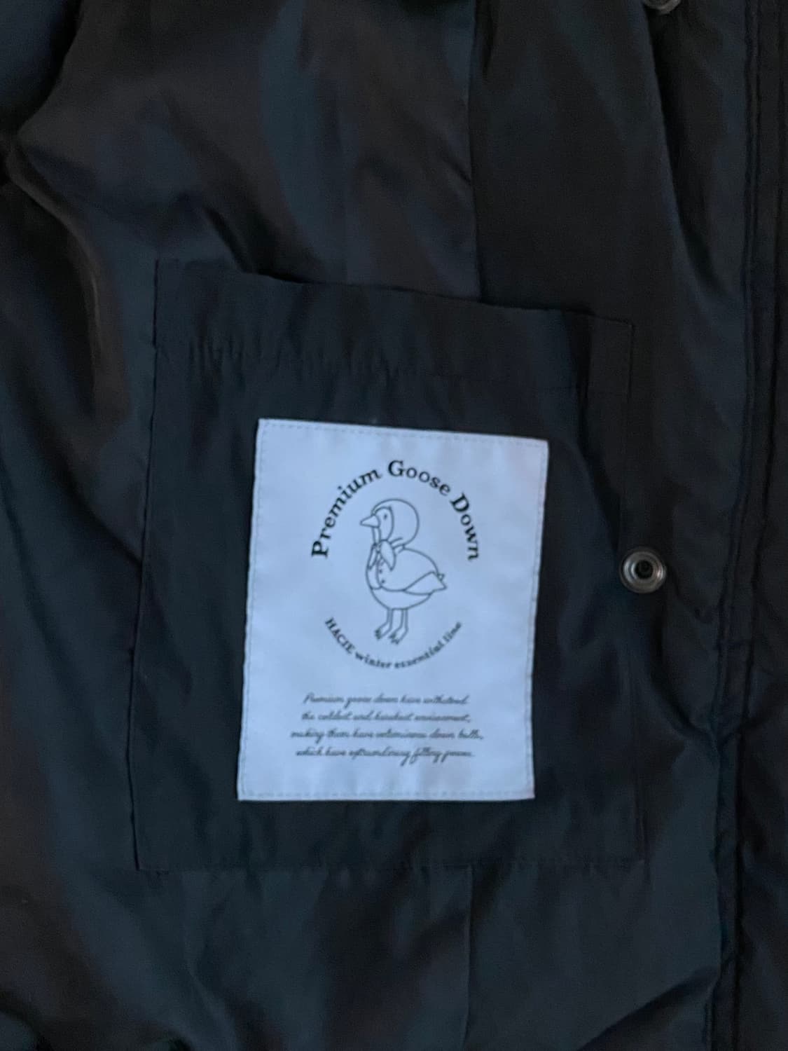 하시에 hacie 구스다운 패딩 상품이미지8