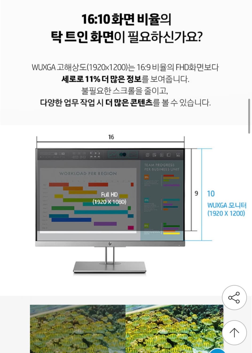 HP 엘리트 디스플레이 E243i LED 모니터 (16:10) 상품이미지8
