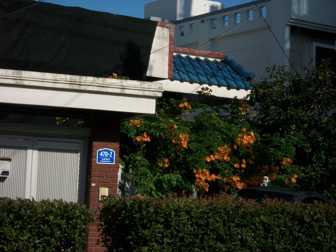 코닥 이지쉐어 c180 상품이미지6