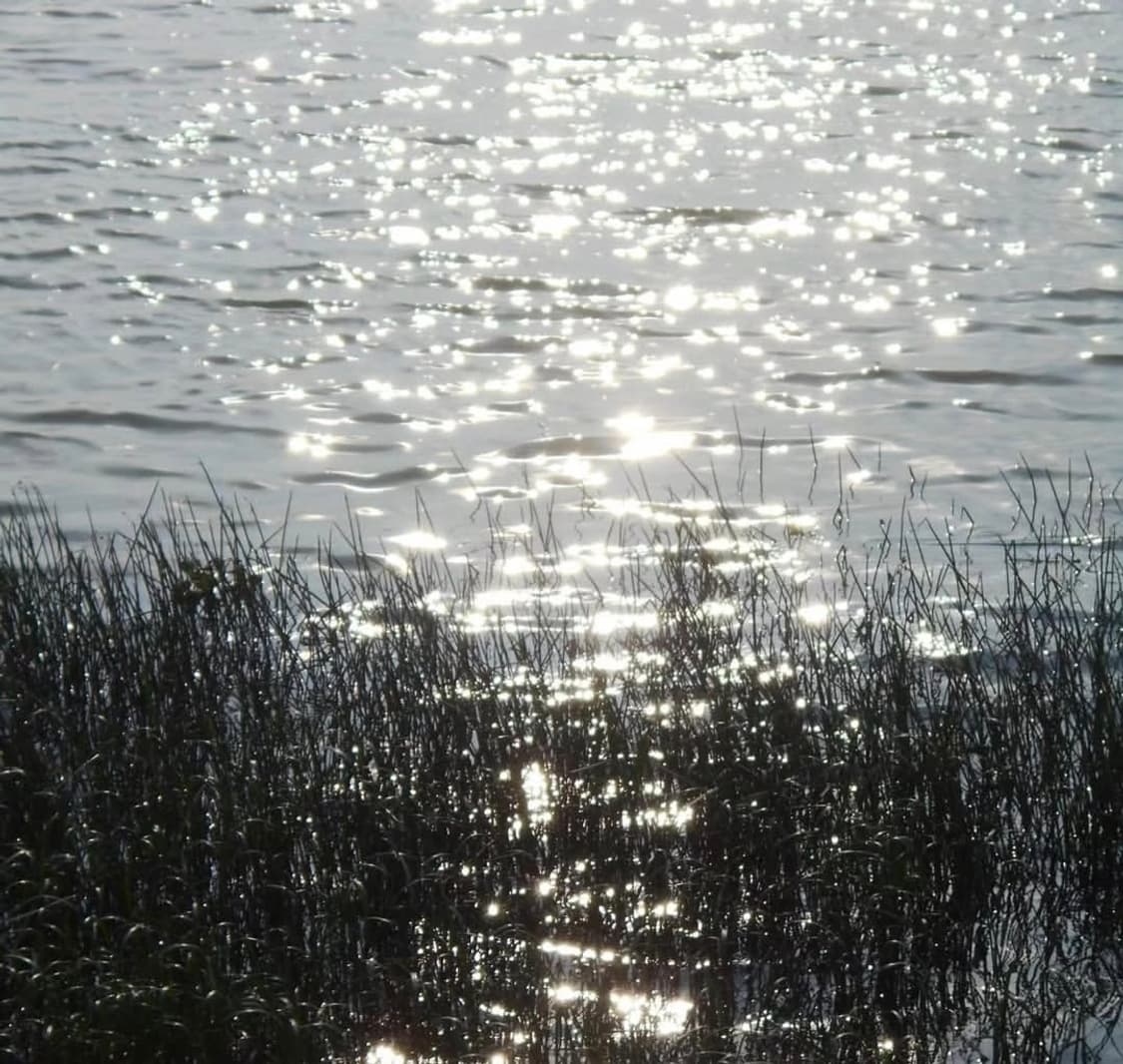 소프트포커스🫧니콘 쿨픽스 A100 실버 ✨  상품이미지8