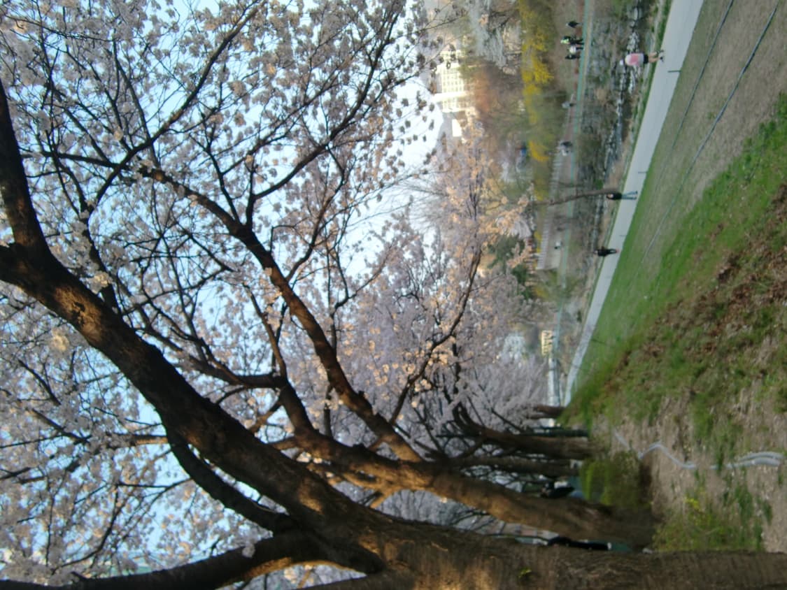 카시오 엑슬림 z300 상품이미지10