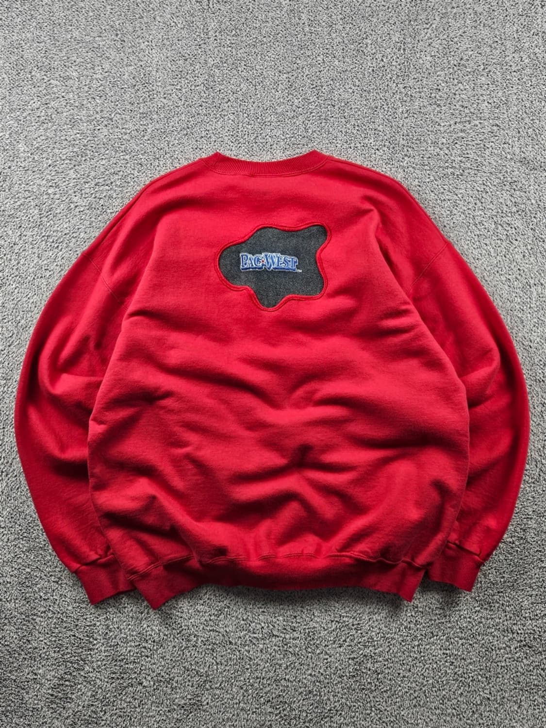 HANES 아플리케 커스텀 맨투맨 스웻 셔츠 ( L ) / 9350 상품이미지5