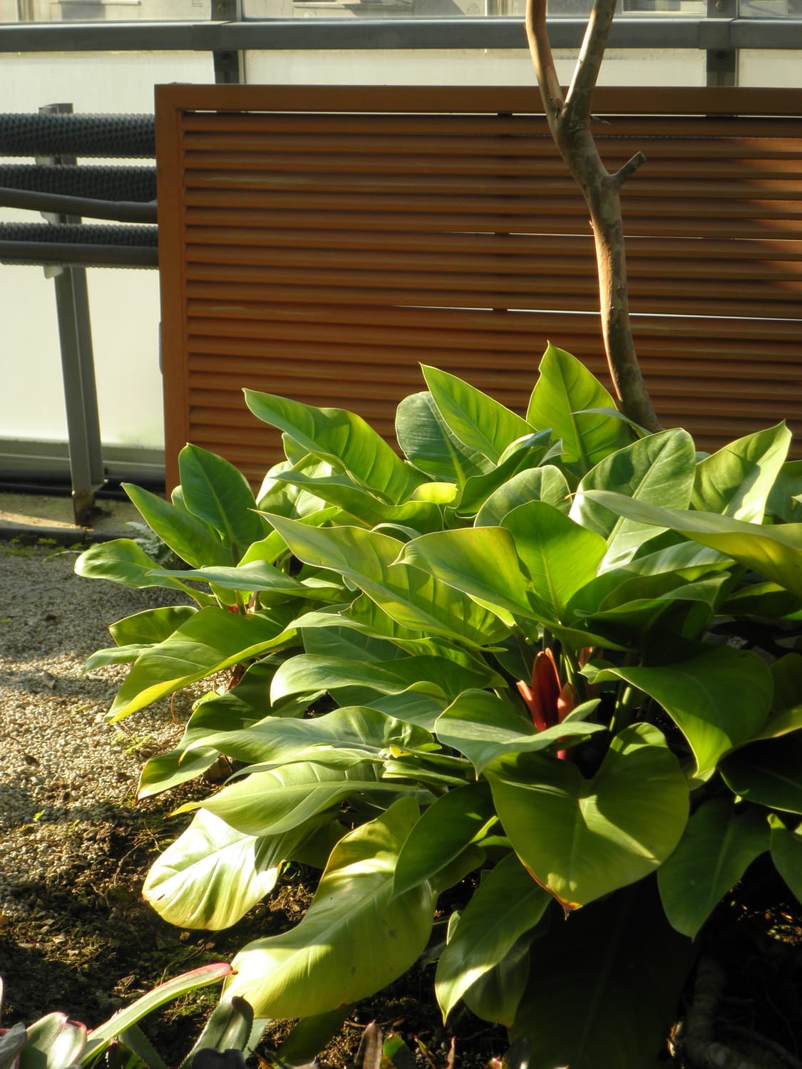 올림푸스 뮤 5010 (작례O) 상품이미지9