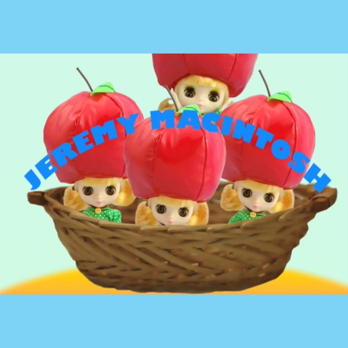 푸치 브라이스 - 제레미 매킨토시 (2008) 미개봉 blythe  상품이미지3