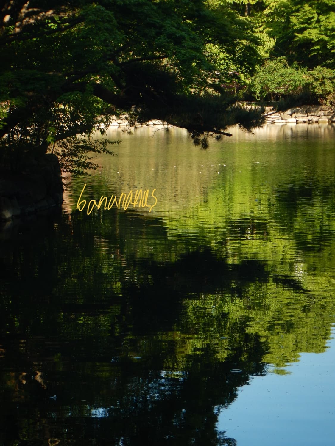 한글판] 니콘 쿨픽스 Nikon coolpix aw100 (작례 O) 상품이미지5