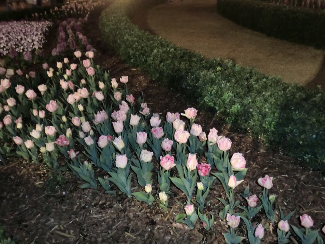 작례있음) 카시오 엑슬림 EX-Z700 상품이미지8