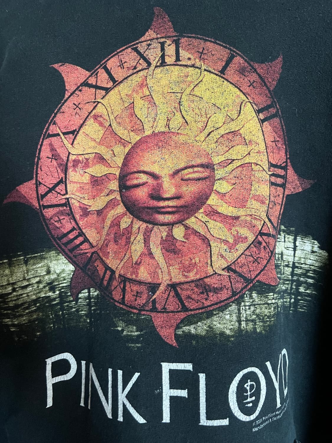 Pink Floyd vintage hoodie 상품이미지2