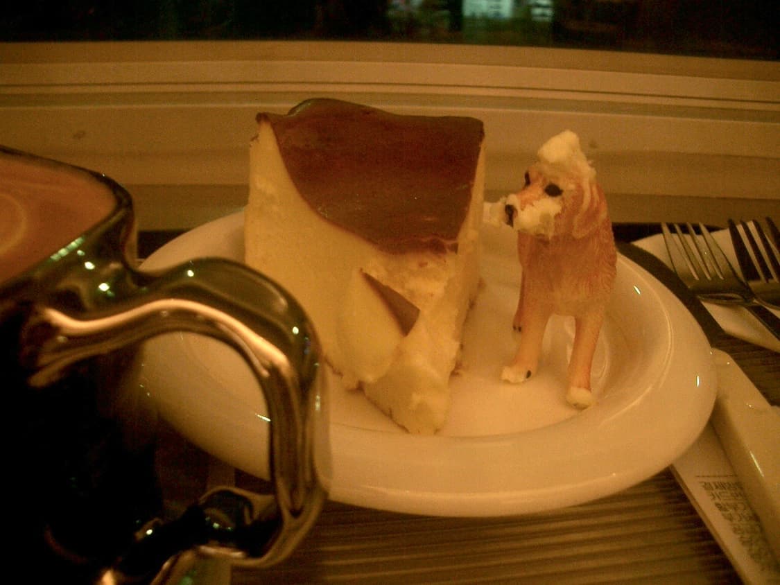 카시오 엑슬림 ex-z3 상품이미지4