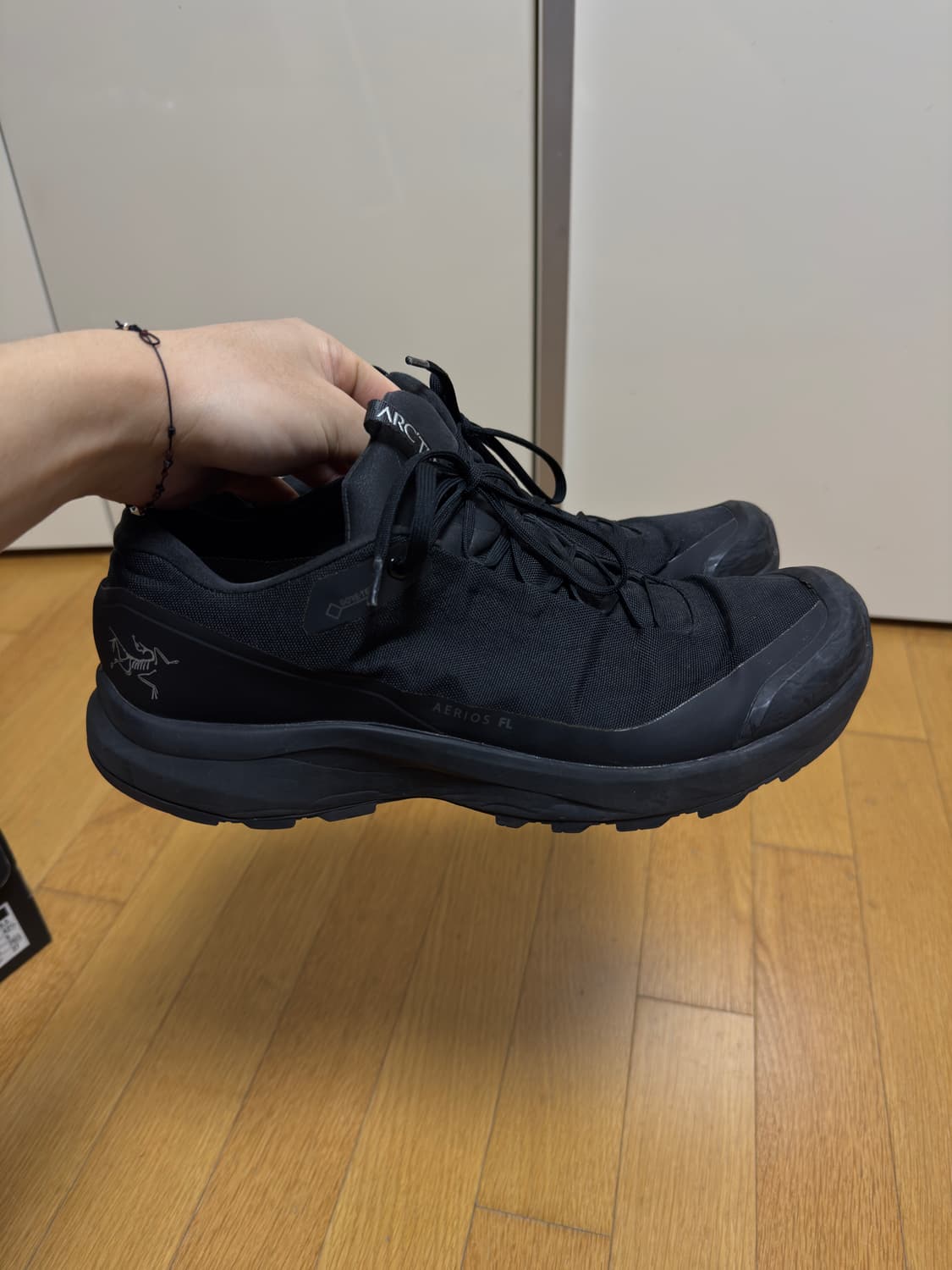 아크테릭스 에어리어스 FL GTX 블랙 270 상품이미지3