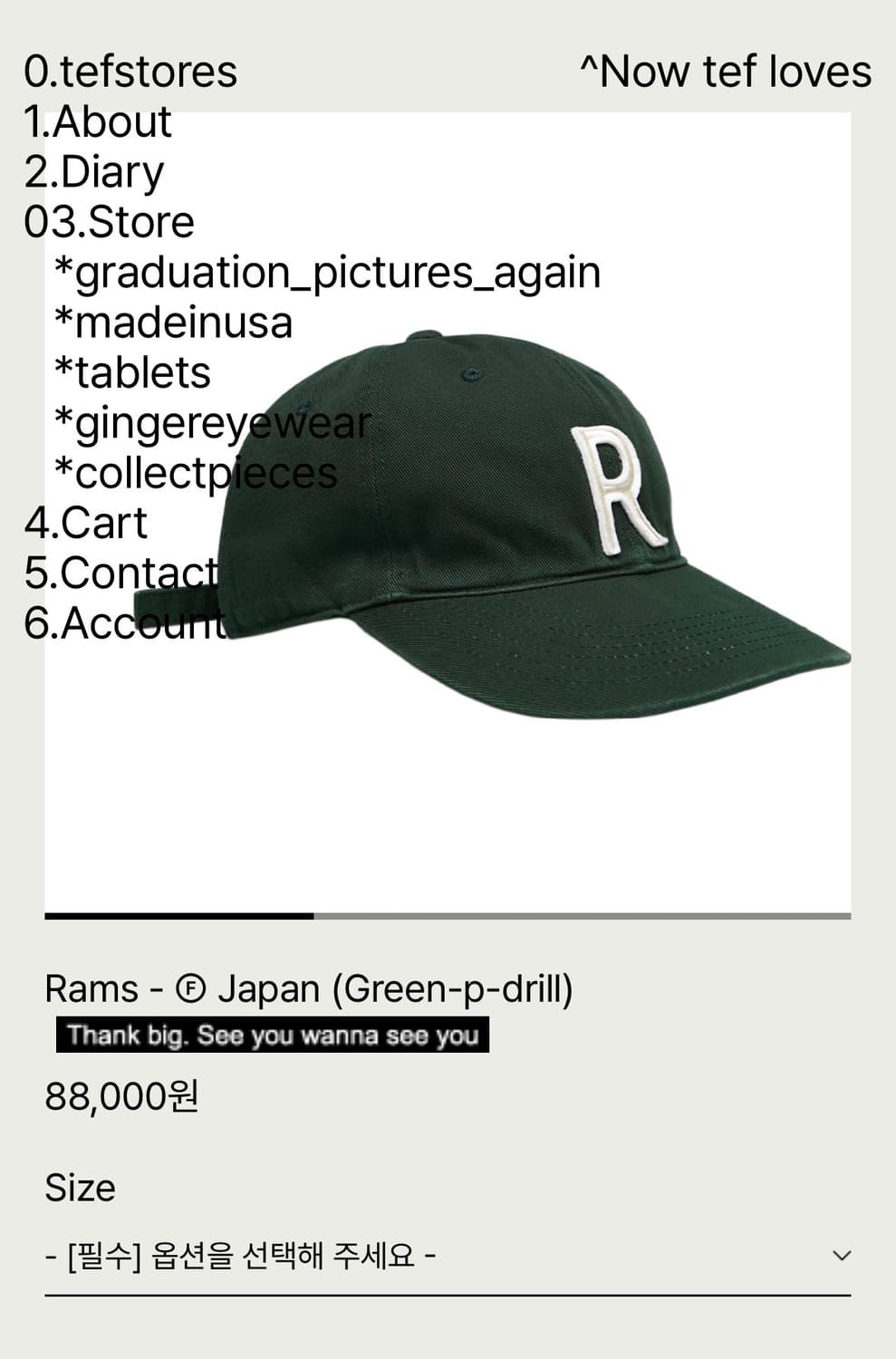 테프스토어즈 그린 R 상품이미지2