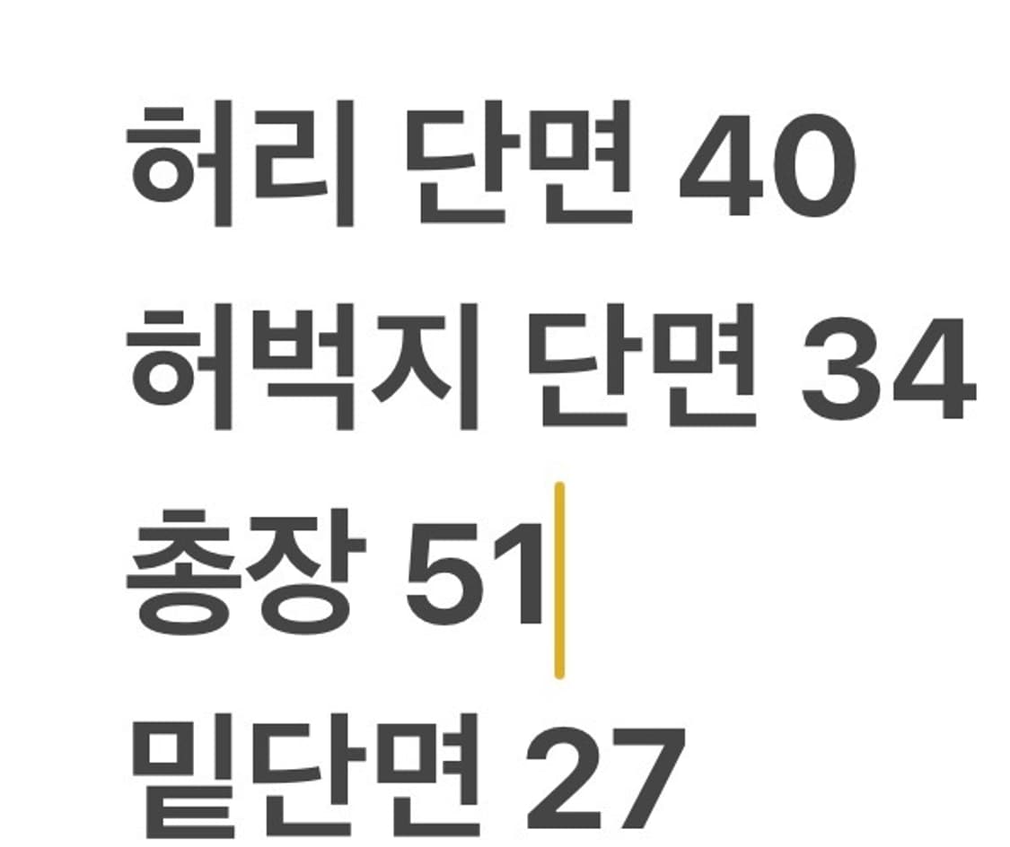 [정품/M] 폴로 랄프로렌 포니 자수 트레이닝 반바지  상품이미지7