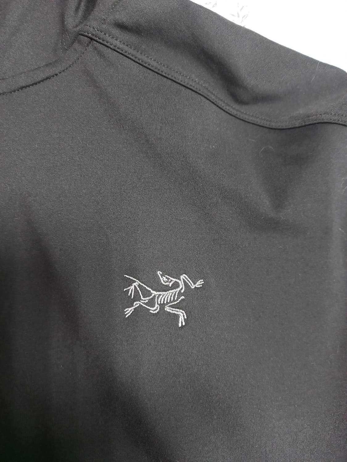 아크테릭스 카이아나이트 후디 L(실용105) 상품이미지2