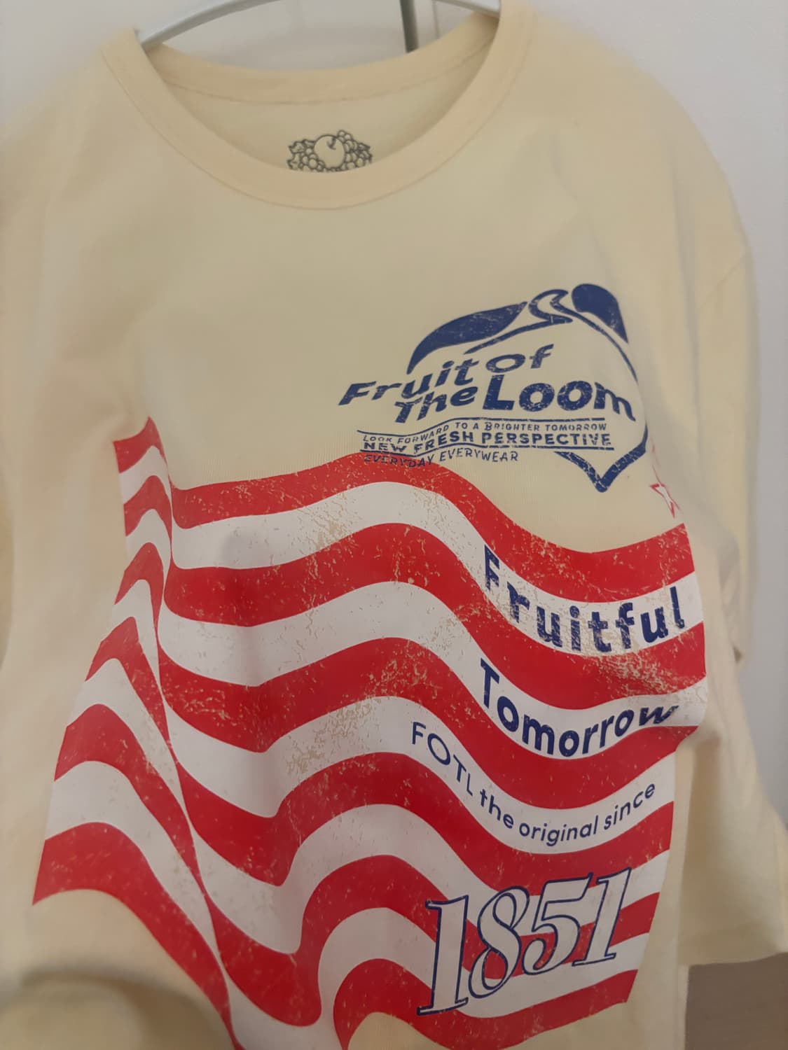 프룻오브더룸 티셔츠 (미착용 새상품) 상품이미지3