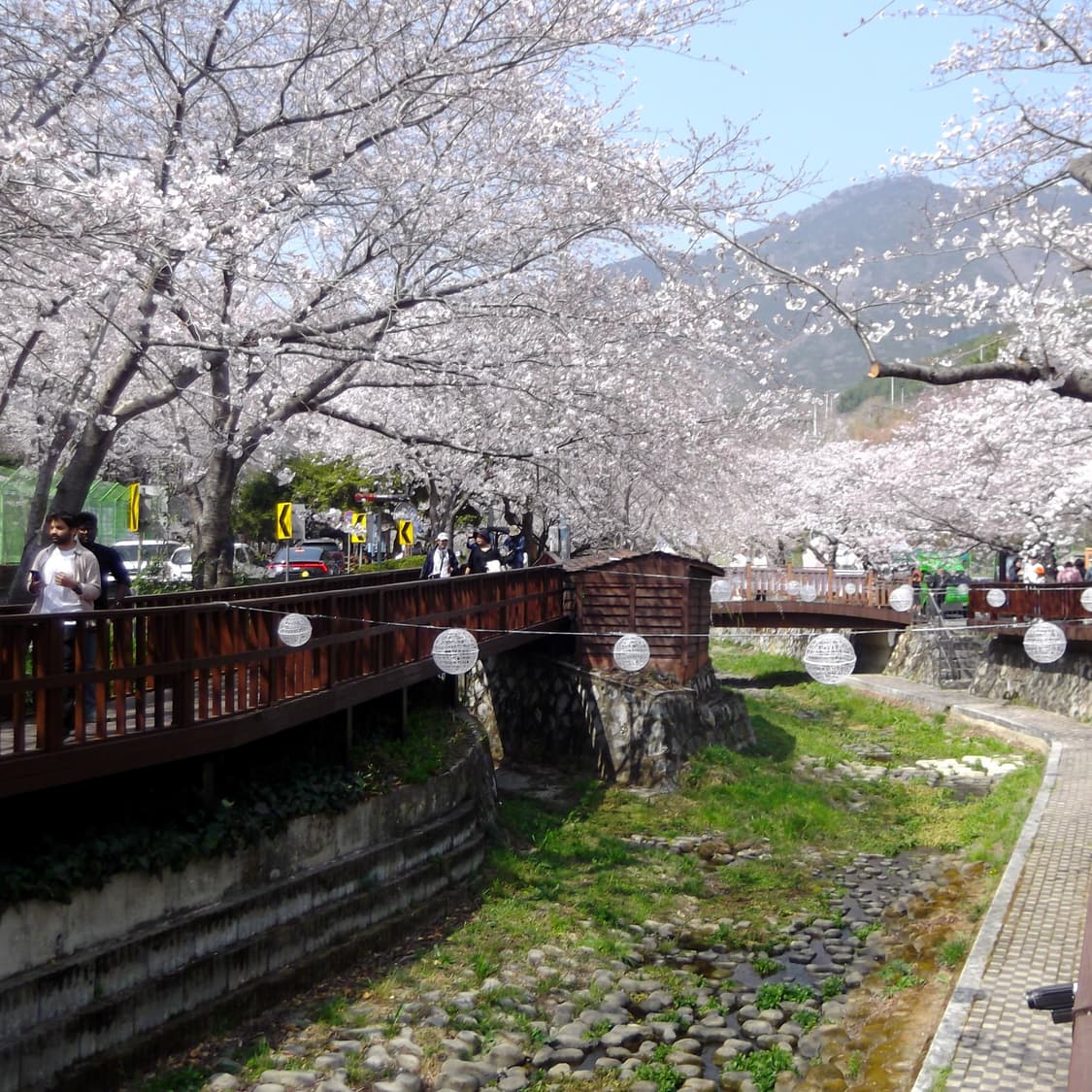 후지필름 파인픽스 T300 풀박스(작례o) 상품이미지10