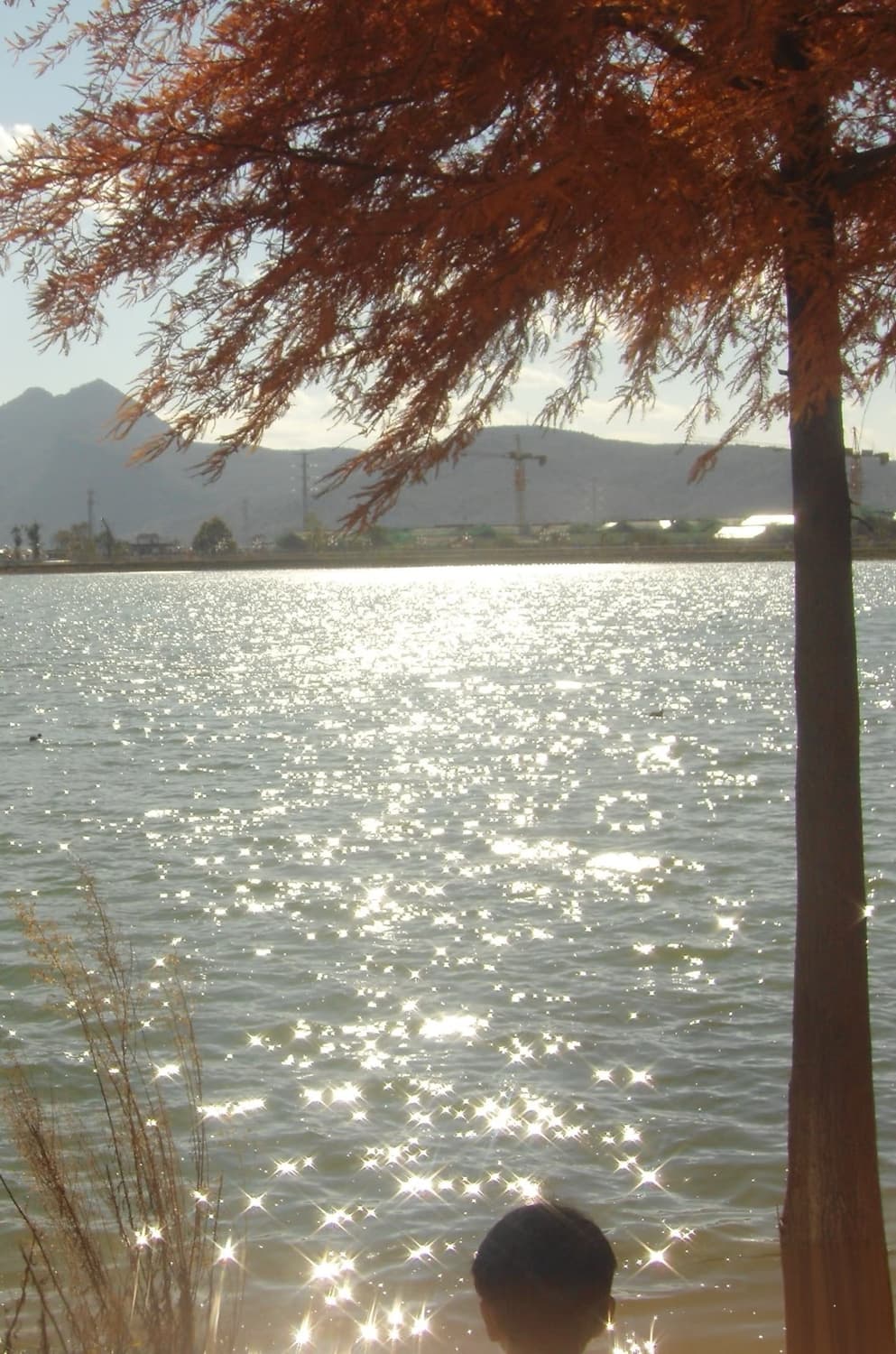 [*입문!✨/작례⭕️] 후지필름 파인픽스 J15 빈티지 디지털 카메라 상품이미지10