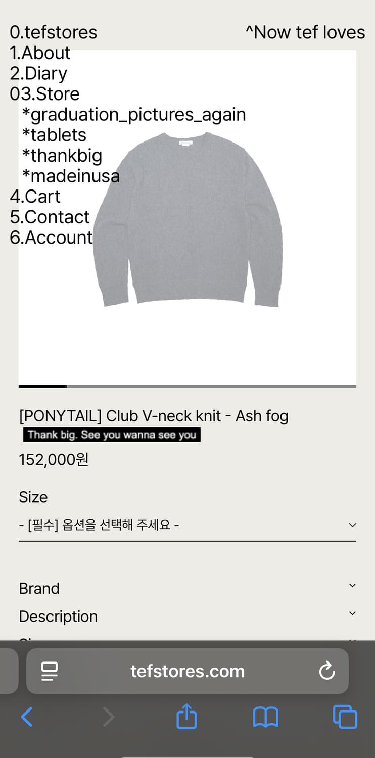 테프스토어즈 포니테일 V neck 구매합니다 상품이미지1