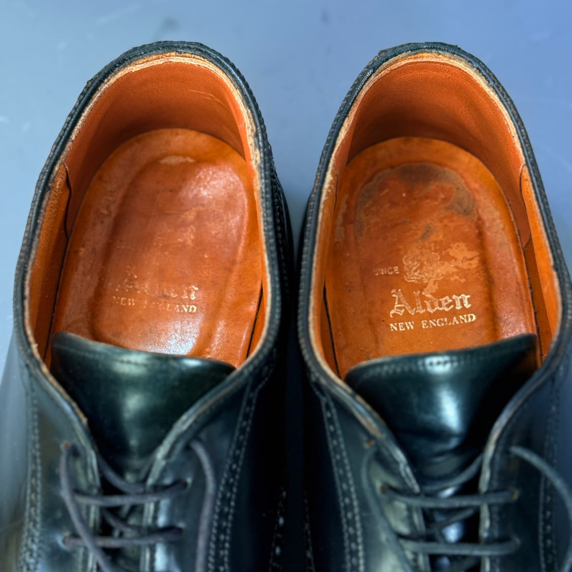 [9.5E] 알든 2146 블랙 코도반 메달리온 캡토 더비 상품이미지8