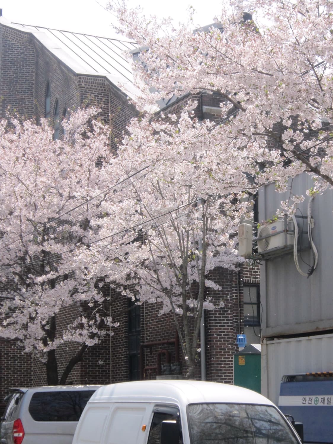 캐논 디카 익서스 200is 희귀매물 핑크 작례포함 상품이미지9