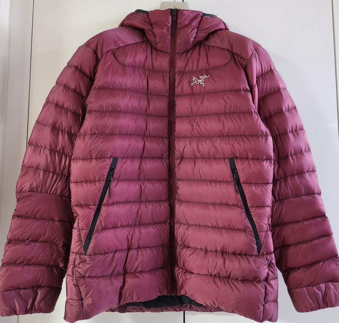 아크테릭스  남성 구스패딩 상품이미지1