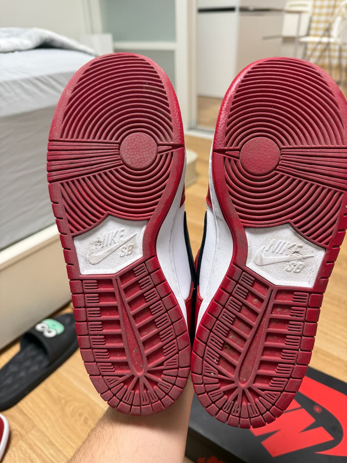 시카고 sb덩크 260 상품이미지8