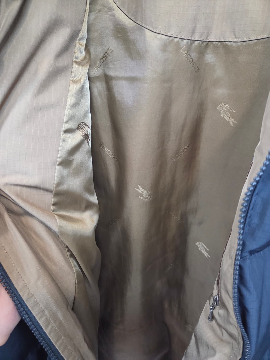 라코스테 덕다운 패딩 L 상품이미지4