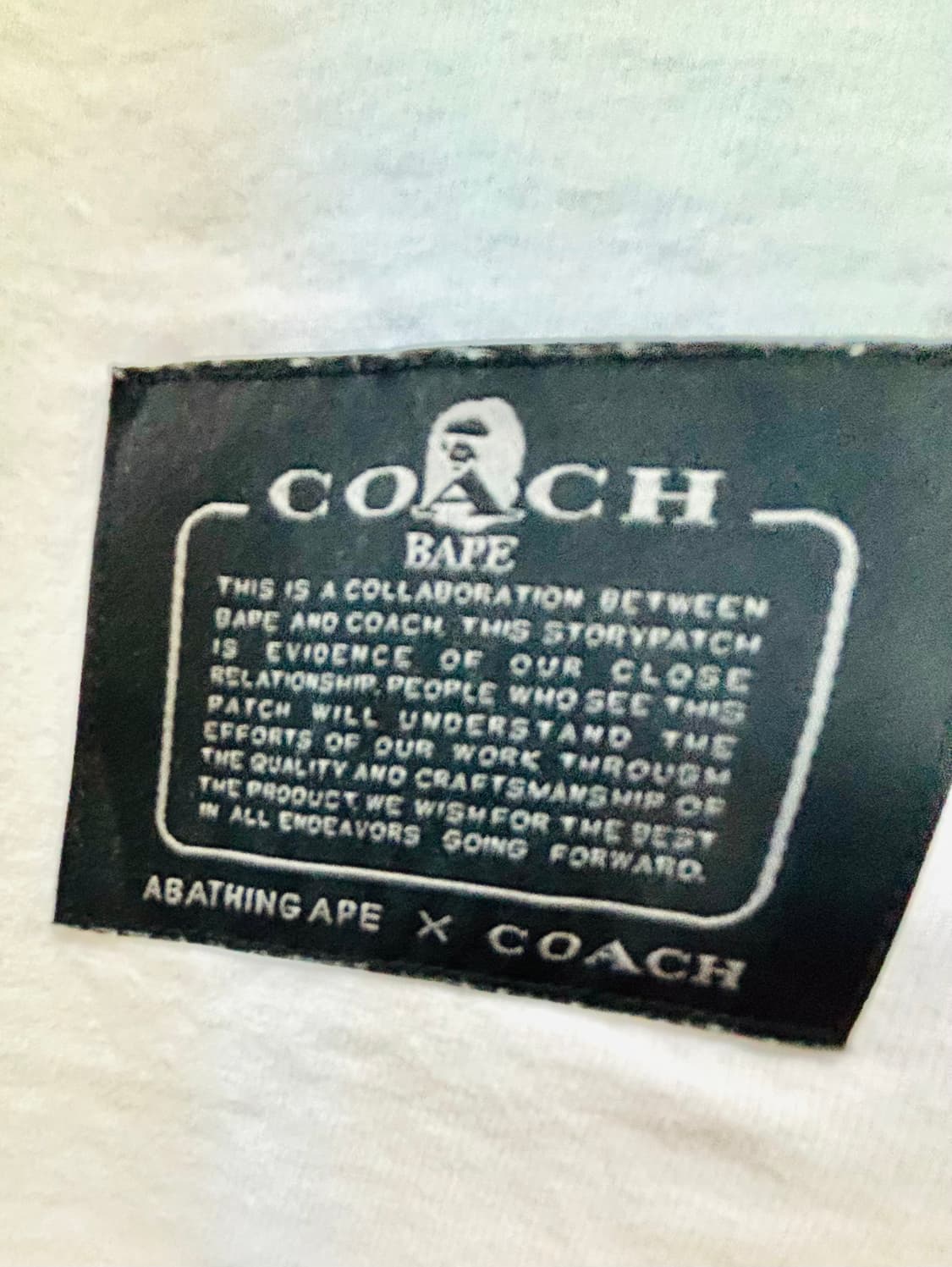 20ss BAPE X COACH 멀티 컬러 마일로 티셔츠 L 상품이미지3