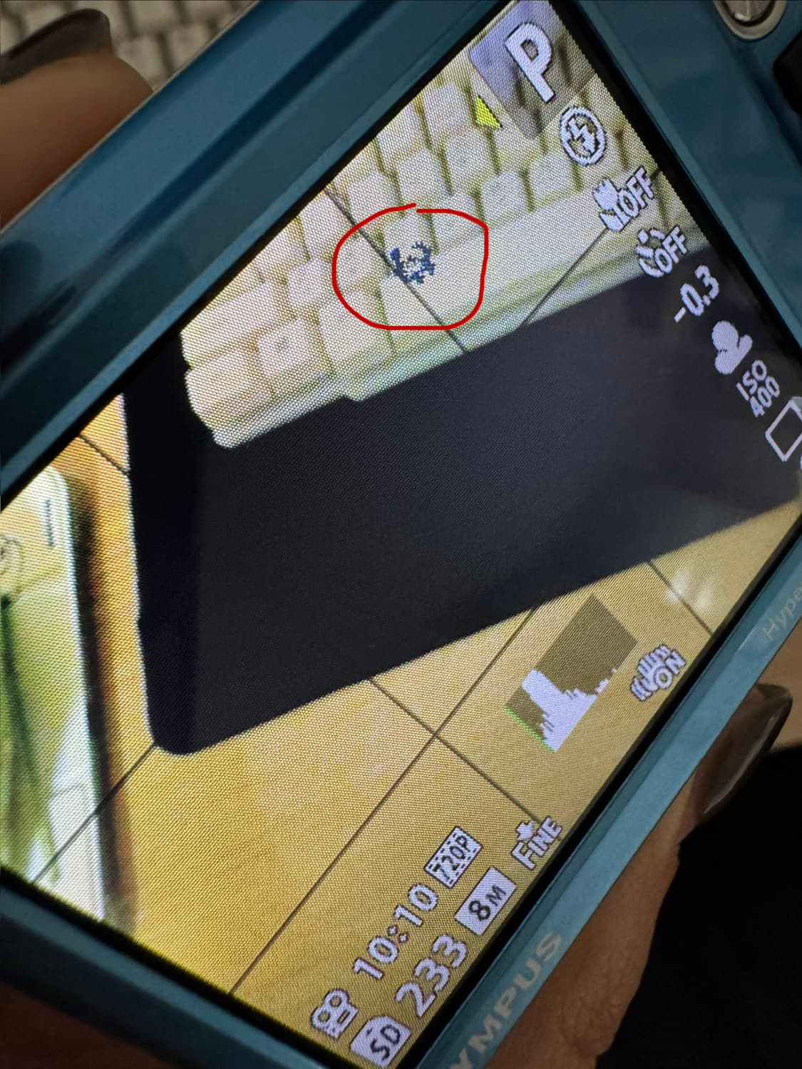 올림푸스 뮤 5010 블루 상품이미지5