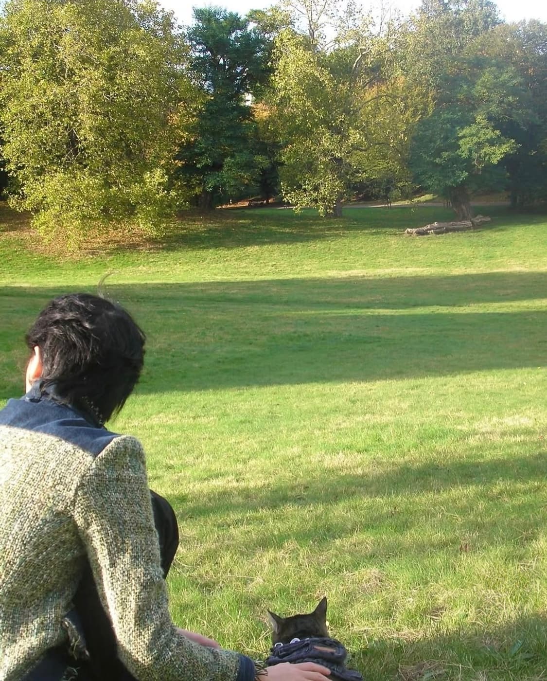 📷올림푸스 FE180 ✨ 빈티지 필름느낌 감성디카 💕 상품이미지6