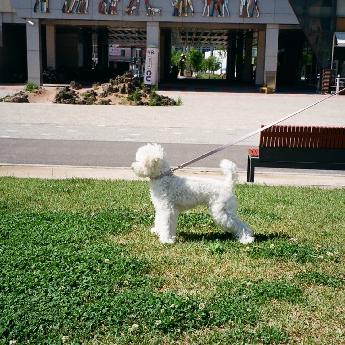 펜탁스 에스피오espio 90mc 필름 카메라 (빈티지 카메라) 상품이미지6