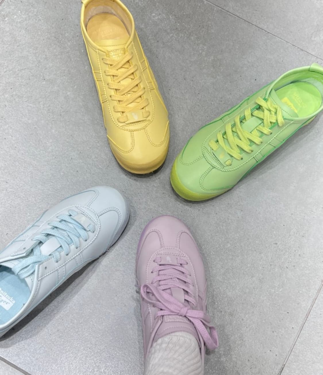 오니츠카타이거 MEXICO 66 CACTFUL 240 상품이미지2