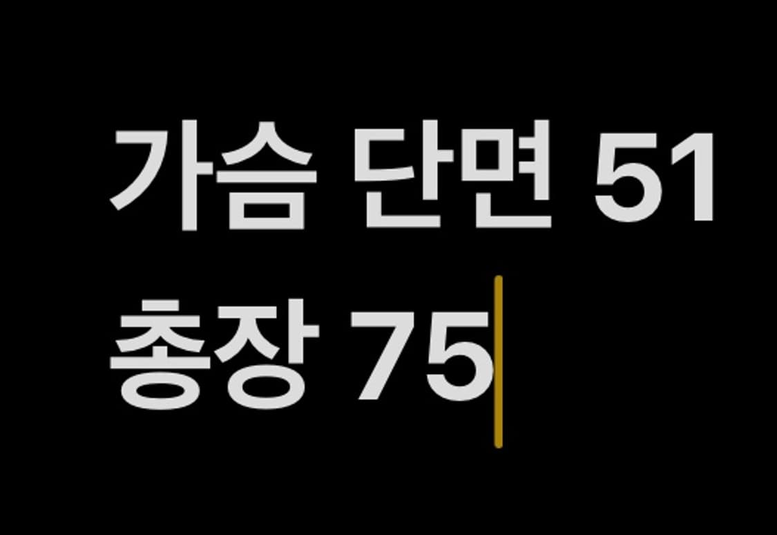 [ 정품/42R ] 폴로 랄프로렌 스트라이프 블레이저 b14 상품이미지8