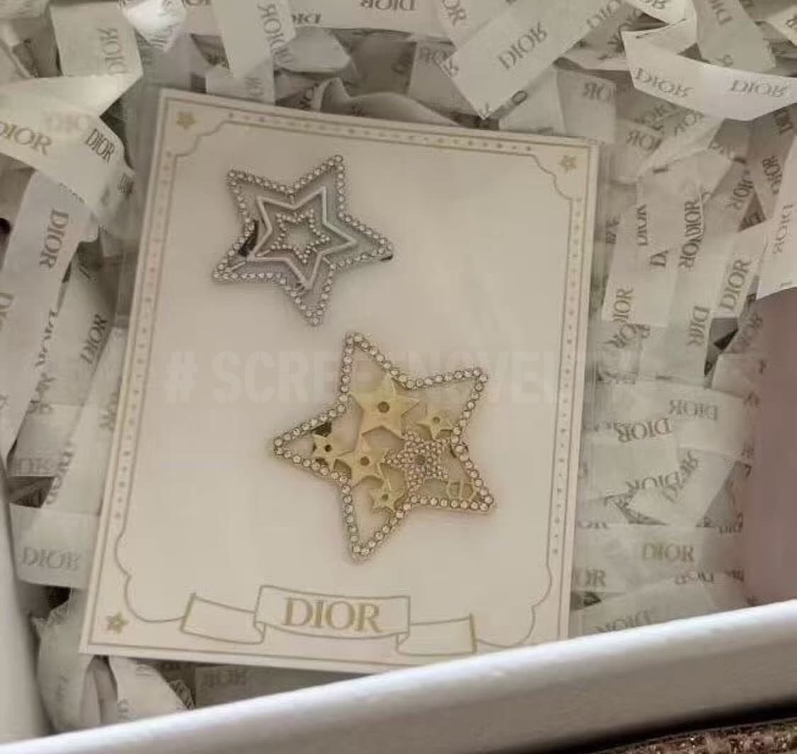 디올 스타 헤어클립 2피스 세트  상품이미지2