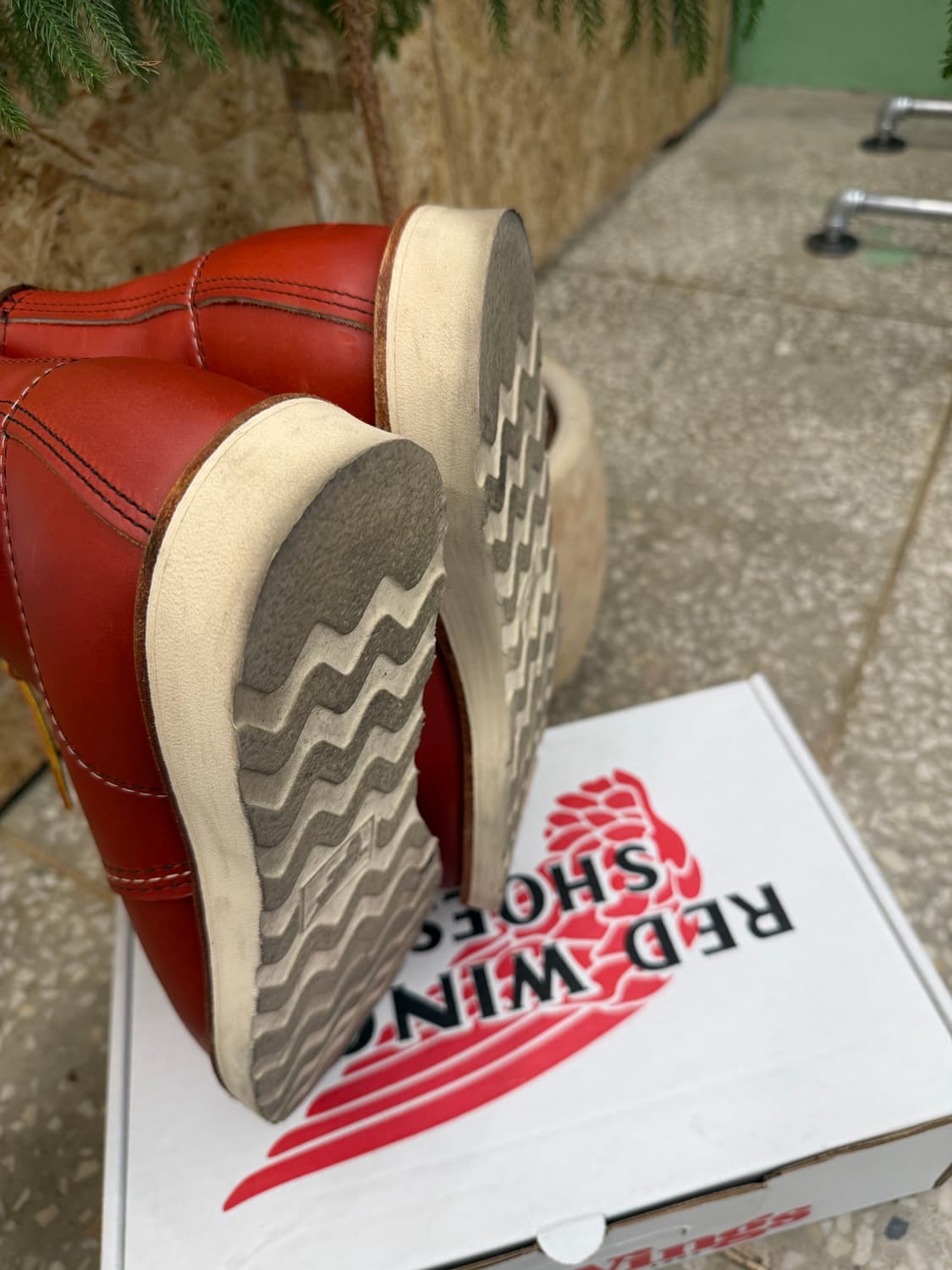 레드윙 아이리쉬 세터 8875 9E 상품이미지5