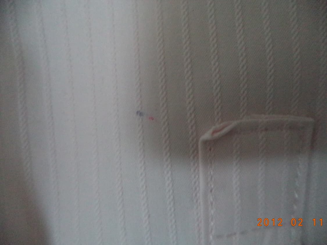 연분홍 셔츠 상품이미지8