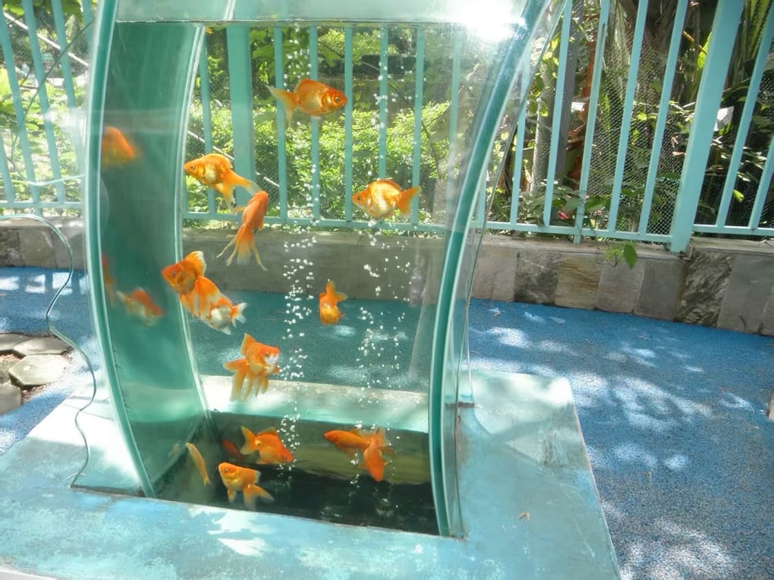 올림푸스 뮤 7040 | Olympus mju 7040 상품이미지3