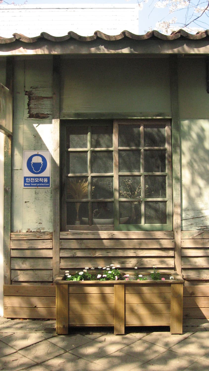 작례 있음! 필름st🎞️🫧 Canon Ixus 800is 풀박스 상품이미지8