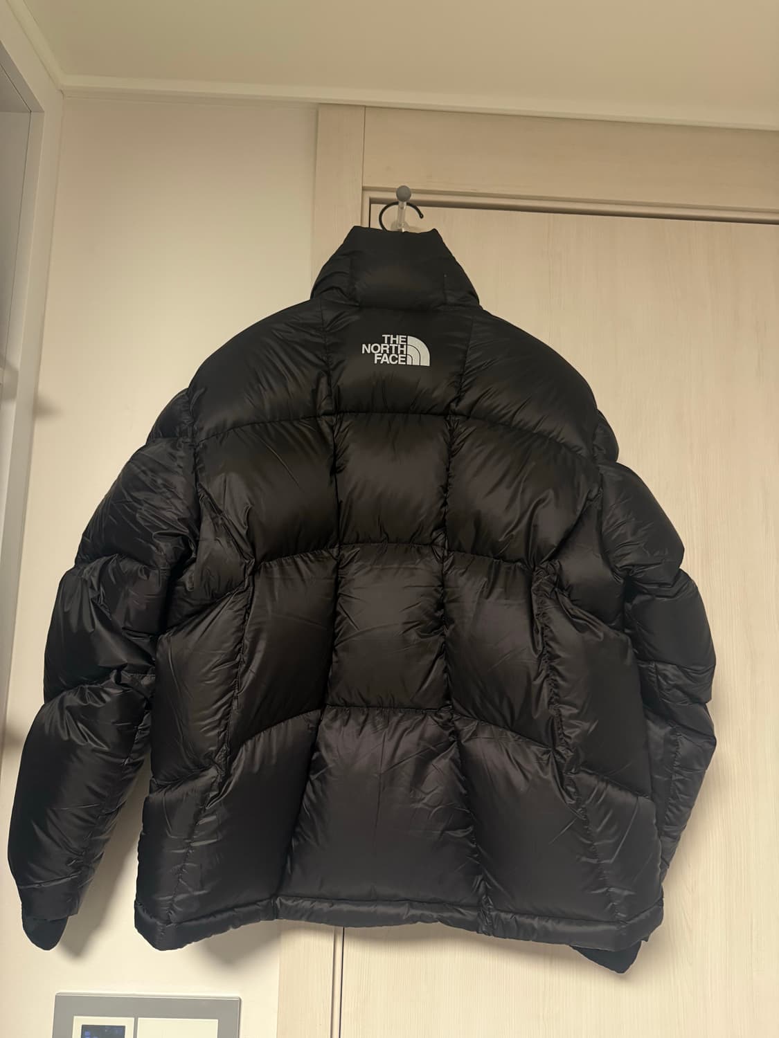 노스페이스 화이트라벨 퍼텍스 듀론 구스다운 패딩 상품이미지6