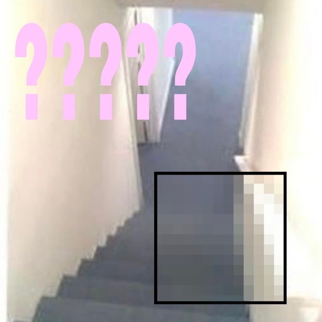 🪷UP TO 20% SALE🪷 상품이미지1