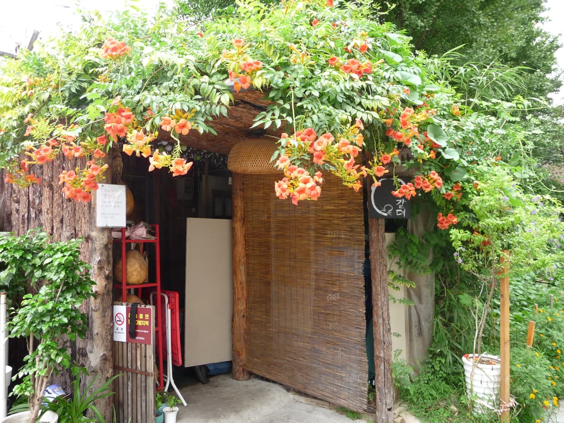 [라이카 렌즈] 파나소닉 루믹스 Panasonic dmc TZ5 디카 상품이미지8