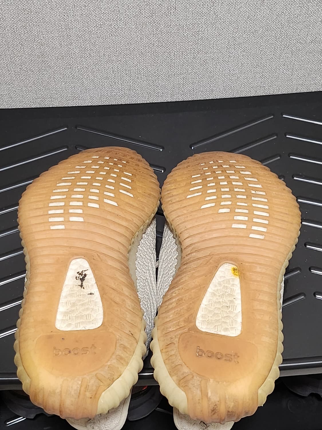 이지350 시트린 260 상품이미지3