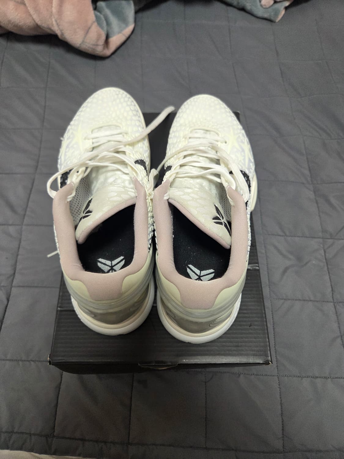 코비 6 세일 285 (자세한 내용은 문의) 상품이미지7