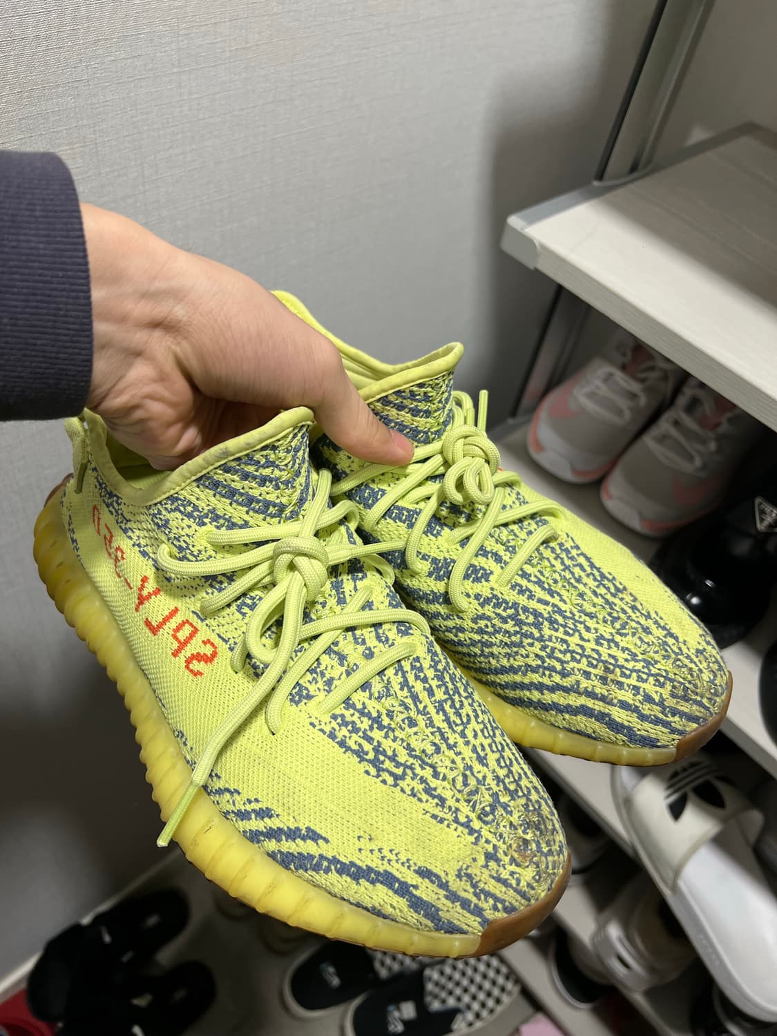 이지 350 265사이즈 상품이미지1