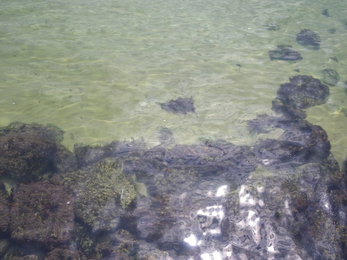 Pentax Optio V20 상품이미지7